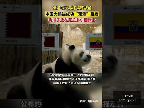 亚冬会焦点,三大项目展,现体育强国,55125彩票,彩票投注,彩票开奖,彩票购买,实时开奖,彩票平台